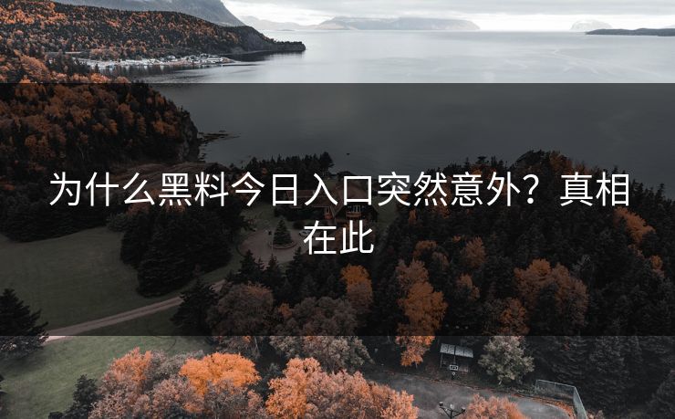 为什么黑料今日入口突然意外？真相在此