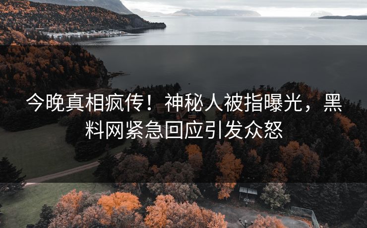 今晚真相疯传！神秘人被指曝光，黑料网紧急回应引发众怒