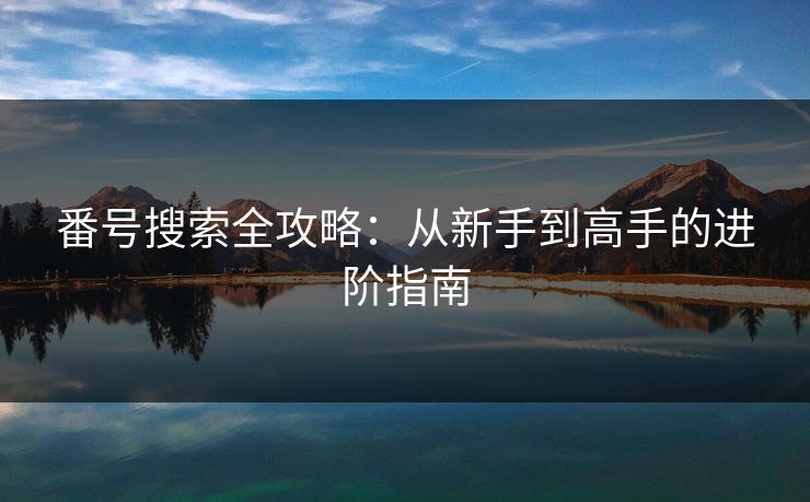 番号搜索全攻略：从新手到高手的进阶指南