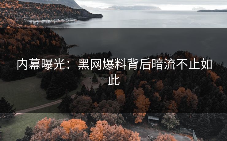 内幕曝光：黑网爆料背后暗流不止如此