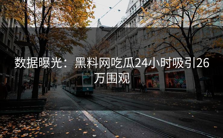 数据曝光：黑料网吃瓜24小时吸引26万围观