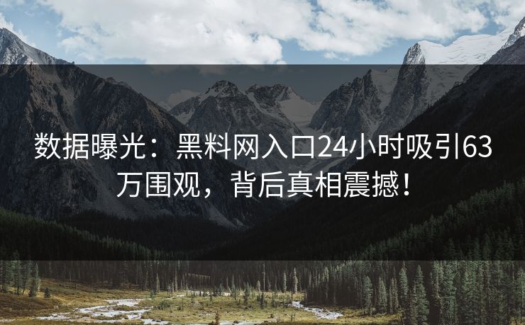 数据曝光：黑料网入口24小时吸引63万围观，背后真相震撼！
