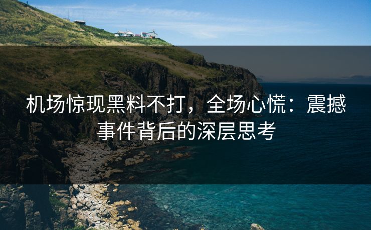 机场惊现黑料不打，全场心慌：震撼事件背后的深层思考