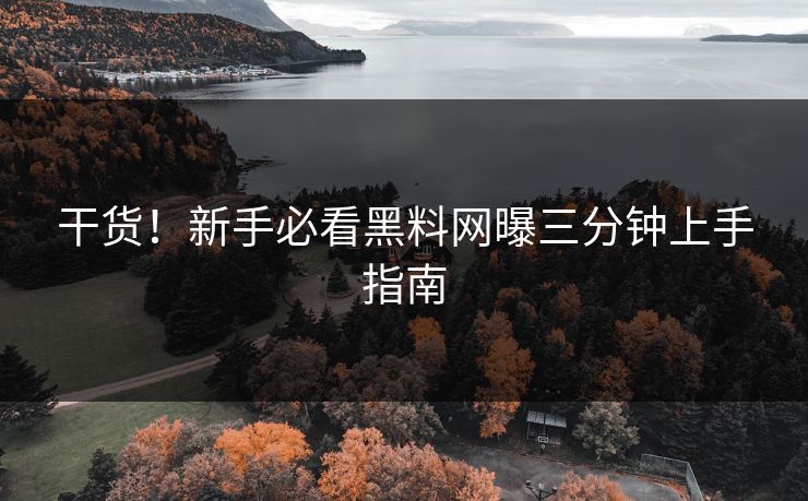干货！新手必看黑料网曝三分钟上手指南