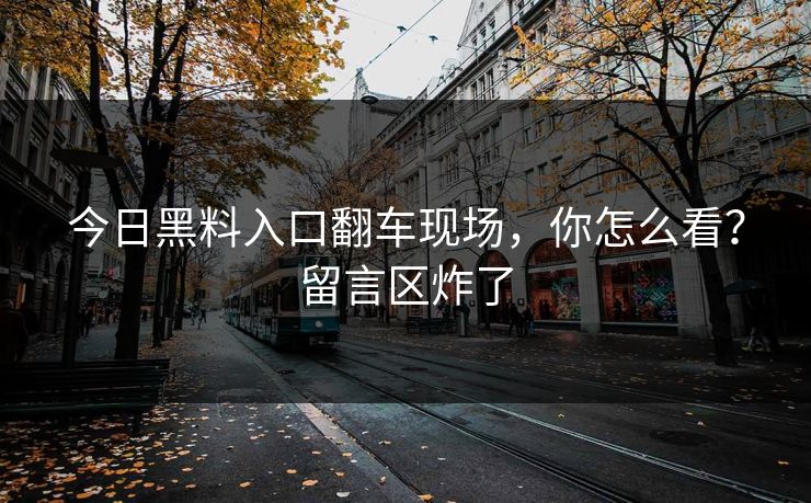 今日黑料入口翻车现场，你怎么看？留言区炸了