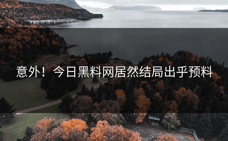 意外！今日黑料网居然结局出乎预料