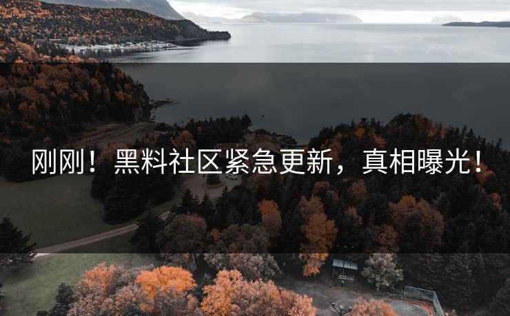 刚刚！黑料社区紧急更新，真相曝光！