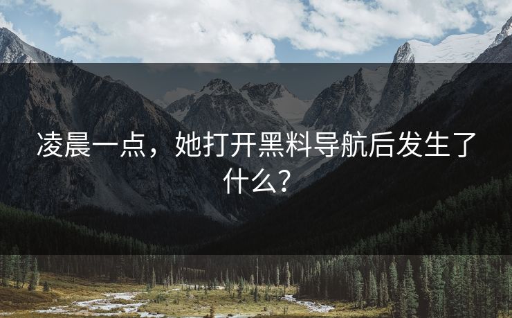 凌晨一点，她打开黑料导航后发生了什么？
