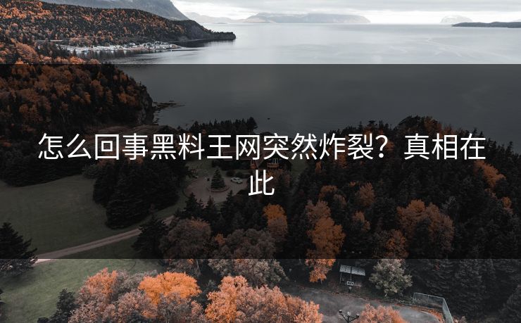 怎么回事黑料王网突然炸裂？真相在此