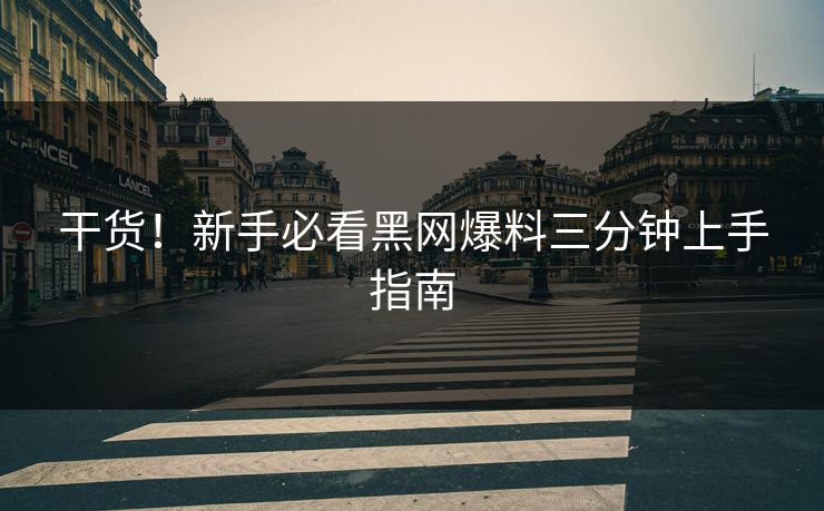 干货！新手必看黑网爆料三分钟上手指南