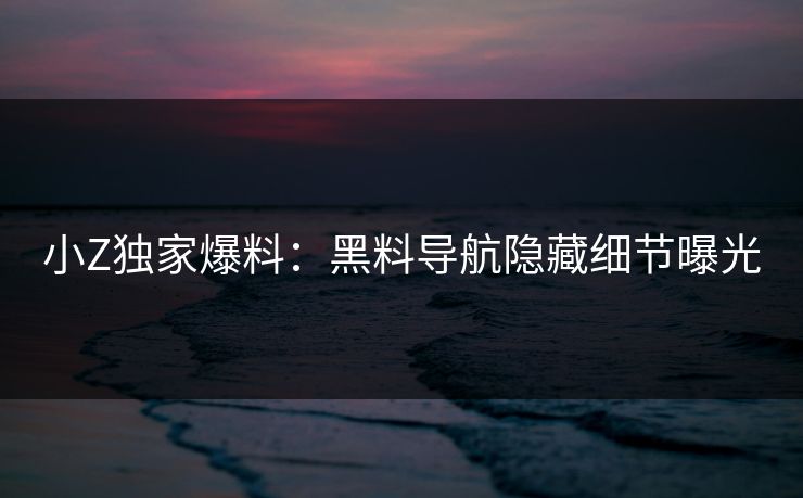 小Z独家爆料：黑料导航隐藏细节曝光
