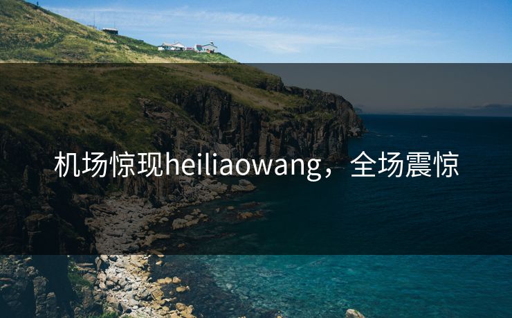 机场惊现heiliaowang，全场震惊