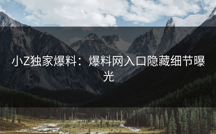 小Z独家爆料：爆料网入口隐藏细节曝光