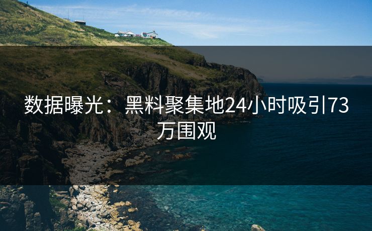 数据曝光：黑料聚集地24小时吸引73万围观