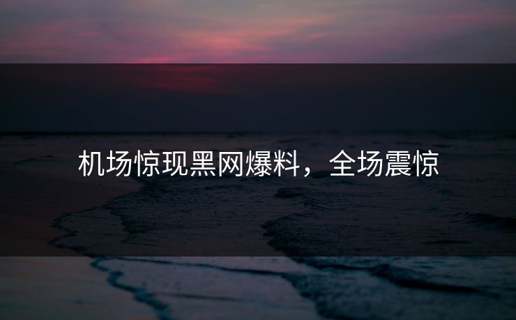 机场惊现黑网爆料，全场震惊