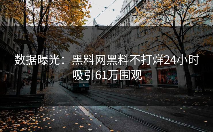 数据曝光：黑料网黑料不打烊24小时吸引61万围观