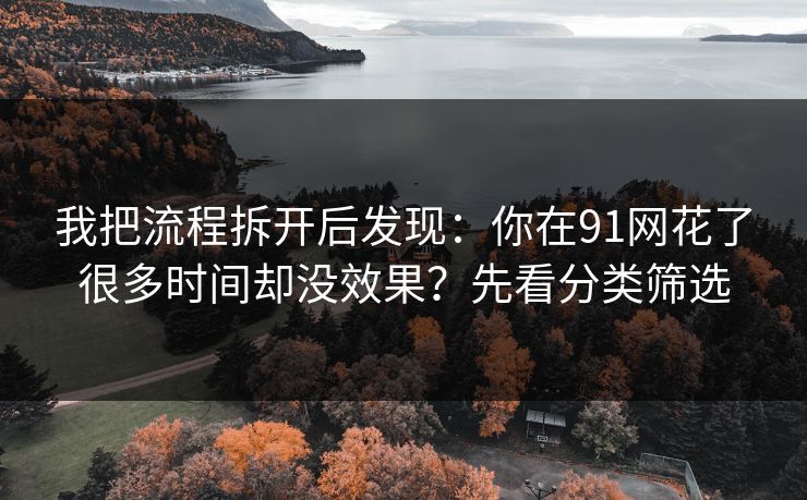 我把流程拆开后发现：你在91网花了很多时间却没效果？先看分类筛选